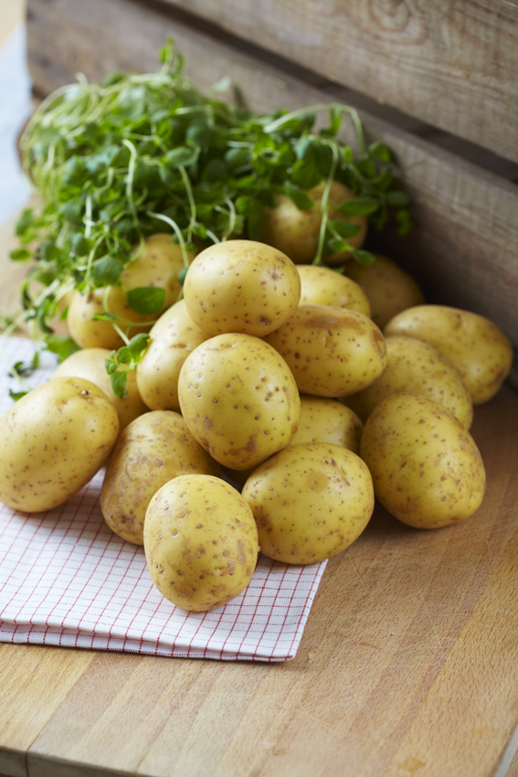 Potatis Medel Tvättad 40-55mm Sverige