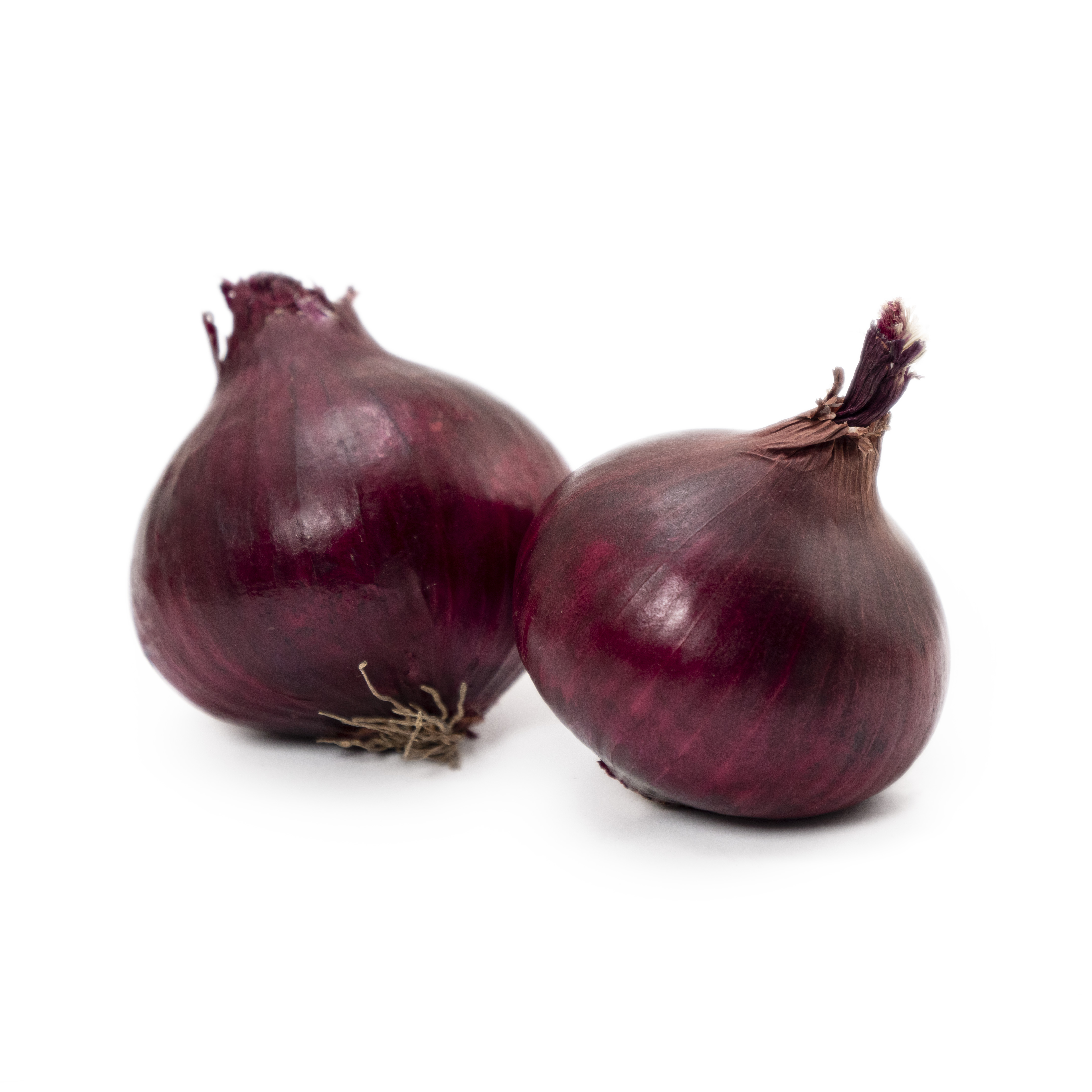 Rödlök Klass 1 Sverige