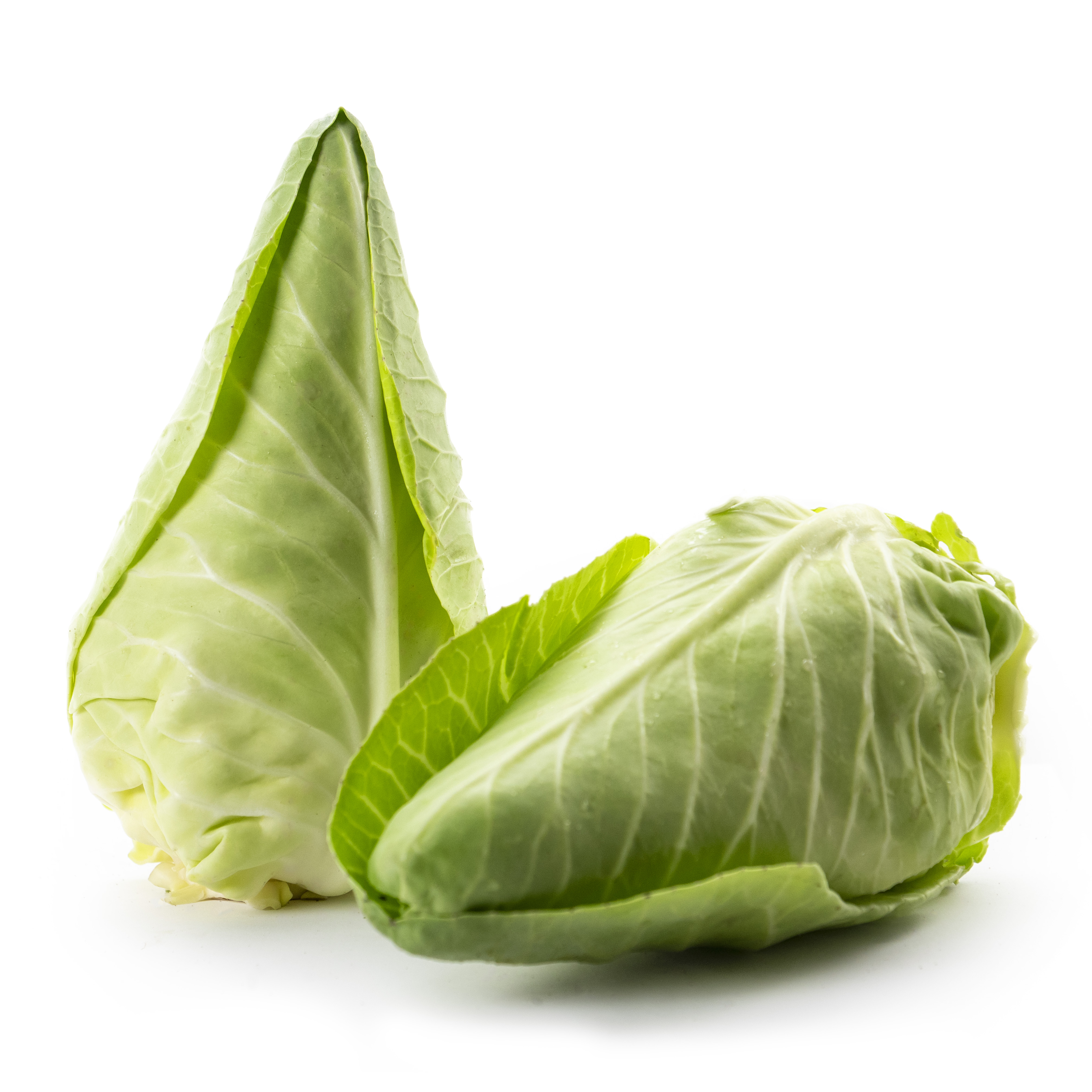Spetskål